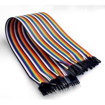 M TO F Dupont Line 40 PIN 20CM