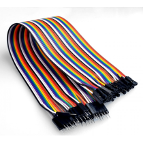M TO F Dupont Line 40 PIN 20CM