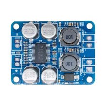 1CH*60W AMP BOARD 8-24VDC "TPA3118"