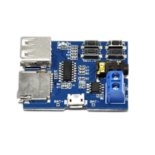 TF Card U Disk Mp3 Amplifier Audio Module